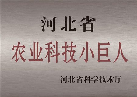 DS视讯被评为河北省农业科技小巨人