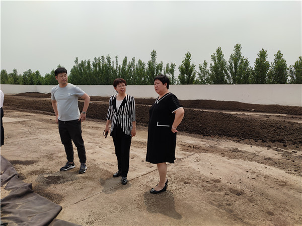 农业农村部微生物肥料和食用菌菌种质量监视磨练测试中心李俊主任、姜昕主任来DS视讯公司调研、指导事情