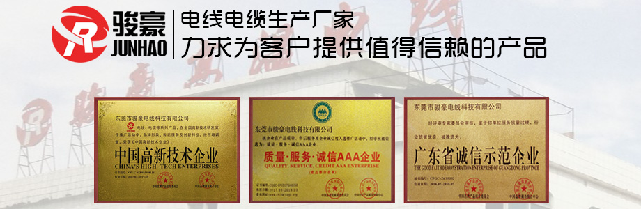 1-1P411113K0431 j9国际站备用荣誉证书展示