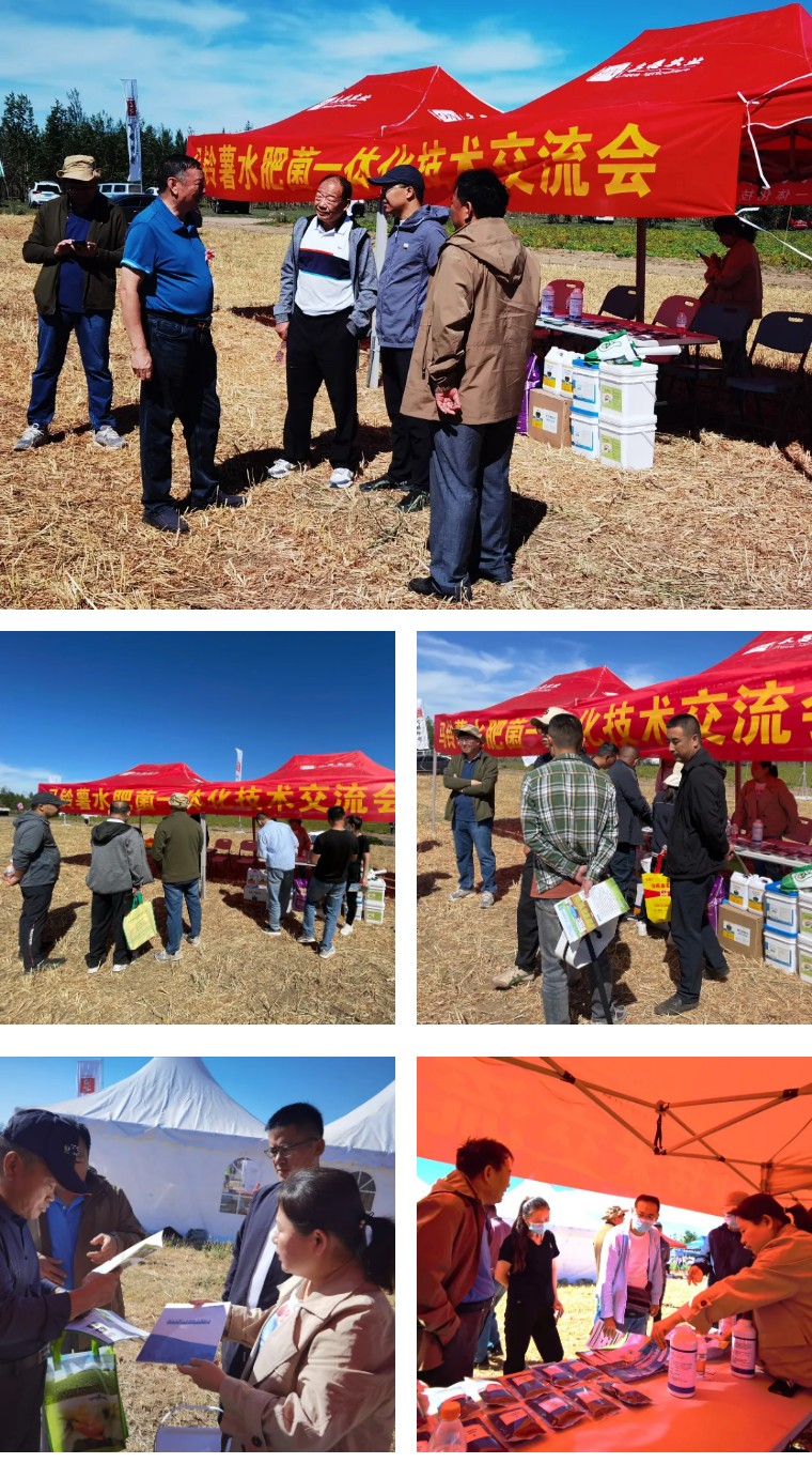 “乡”约沽源 “薯”光无限 | DS视讯生物亮相久恩农业田间开放日