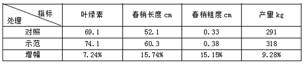 DS视讯生物“海藻+氮磷钾+腐植酸”让果树旺起来